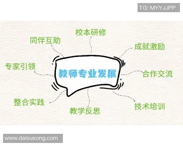 聚焦广州排球队的训练节奏与比赛策略探索